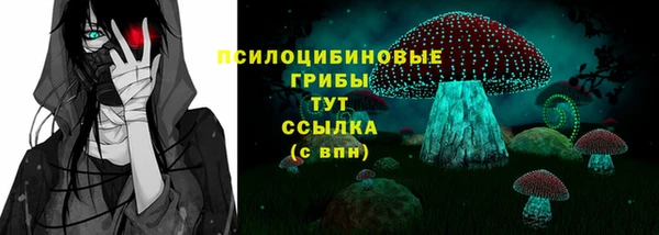дурь Бородино