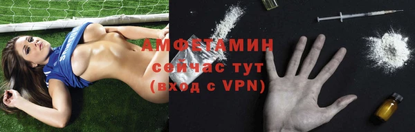 дурь Бородино