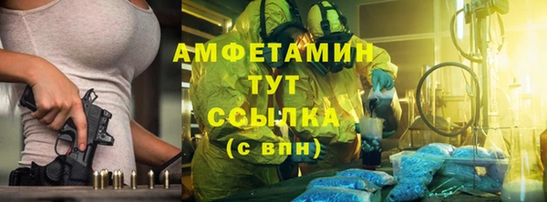 дурь Бородино